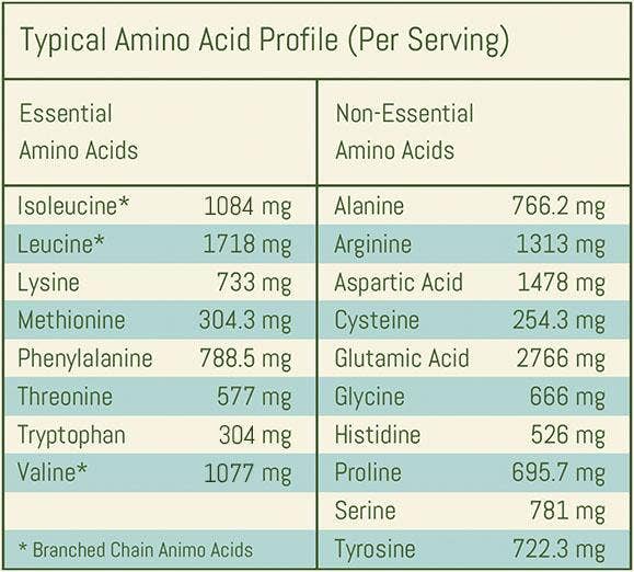 Raw Cacao Protein Blend